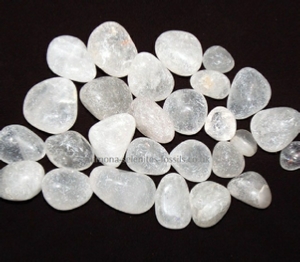 Goniatite Product For Sale Goniatite Product For Sale