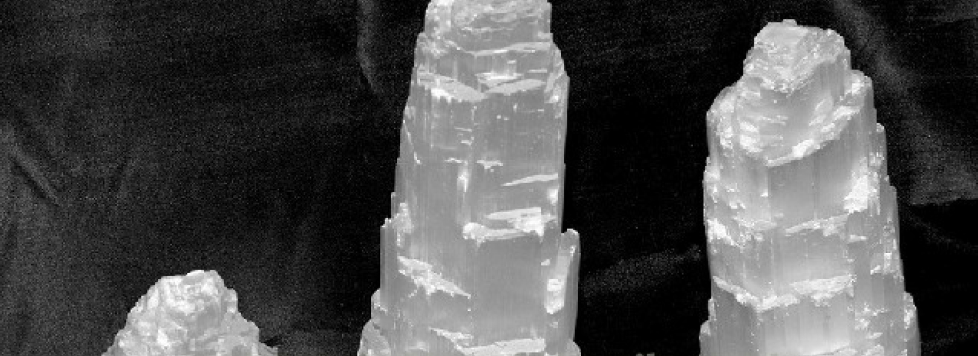 Mimona Fossils Selenite