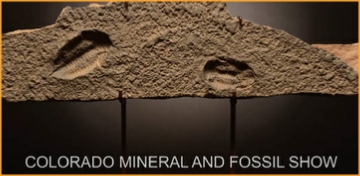 Denver Mineral, Fossil, Gem Show 2021