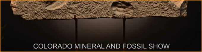 Denver Mineral, Fossil, Gem Show 2021
