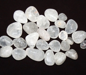 Goniatite Product For Sale