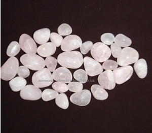 Goniatite Product For Sale